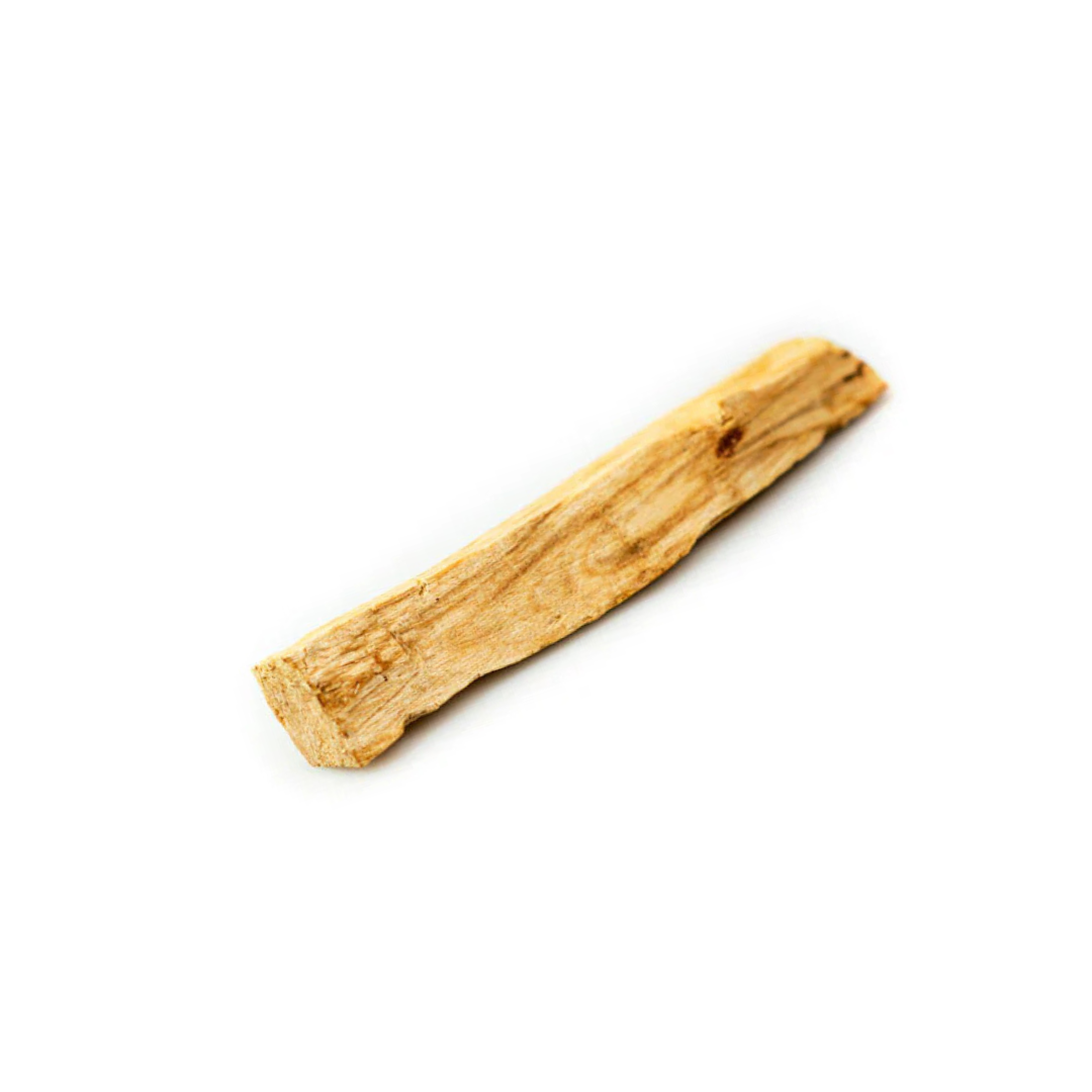Gnome Time Greeting Card with Palo Santo